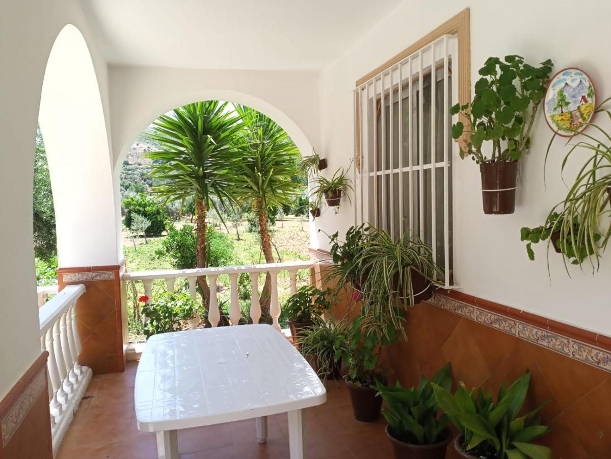 Casa Las Vicarias Olvera Extérieur photo